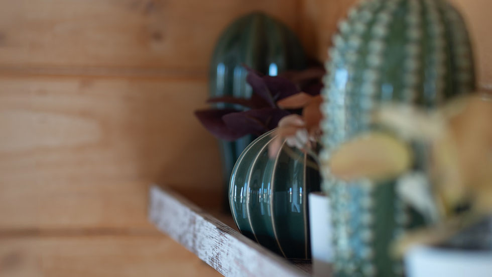 Cactus decor