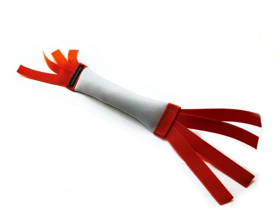 10" Dock Diving Weighted Bumper