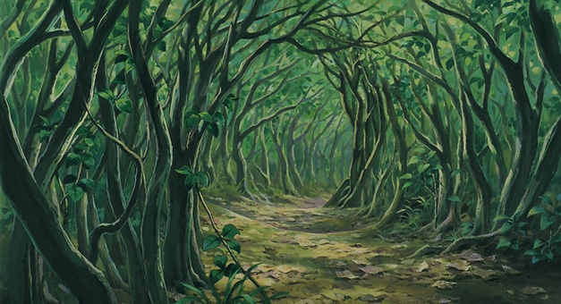 enchanted forest.jpg
