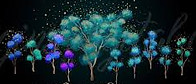 ~thedreamland-throughtheveil~.jpg