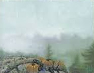 images - 2019-08-19T045848.009.jpg