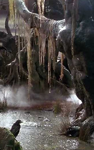 Eeroziaea'ah-Swamp~~~.jpg