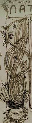 ~Naturality-index-aya~vines~cooking~intheCauldron~