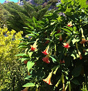 photo.JPG