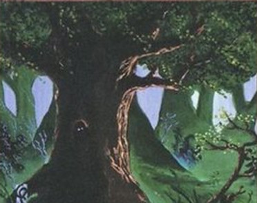 forest_eyes_fr - Copy.jpg