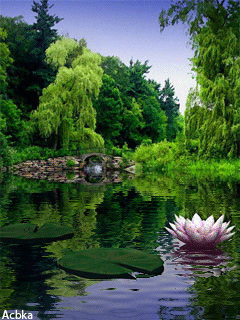 c9bd8eab56d3ee4d63781c0a70a5d7b1.gif