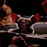 tumblr_my5z91tssz1rolhqjo5_250.gif