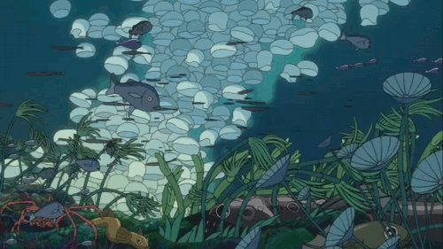 fishes-swimming-under-the-boiling-tempes