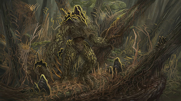 timi-honkanen-fungi.jpg