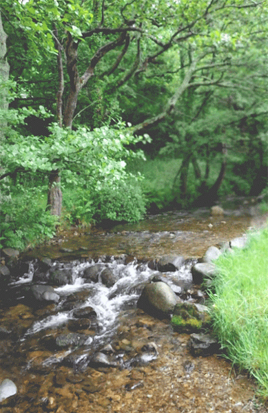 ezgif-6-b0e573110783.gif