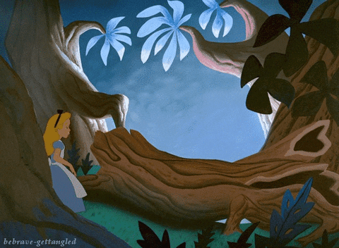 jkjkjkjkjkjkgiphy (2).gif