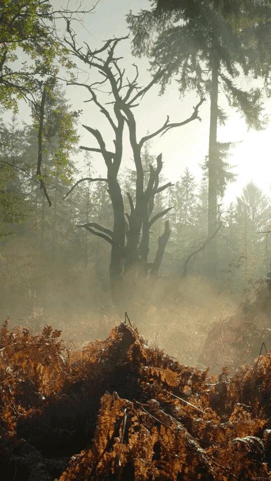 tumblr_pgq1nkiJTy1uoe7is_640.gif
