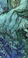-theDarkRoot-Mountainous shroudforest~~~.jpeg