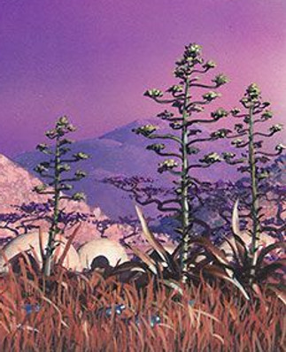 ~thefolorn-flatworld___.jpg