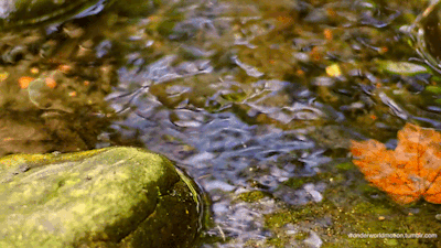 ezgif-6-b6a86d3d3583.gif