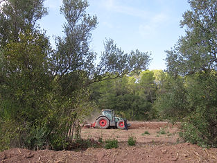 IMG_6864.JPG
