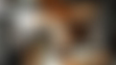 Fujifilm headquarters procurement team visits Flex Plus for guidance