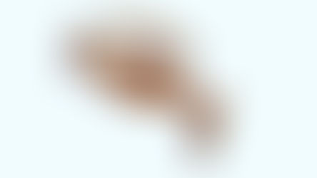 Flexible PCB Myths: What Every Hardware Engineer Should Know