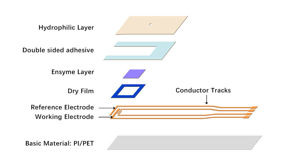 Glucometer Test Strip Structure