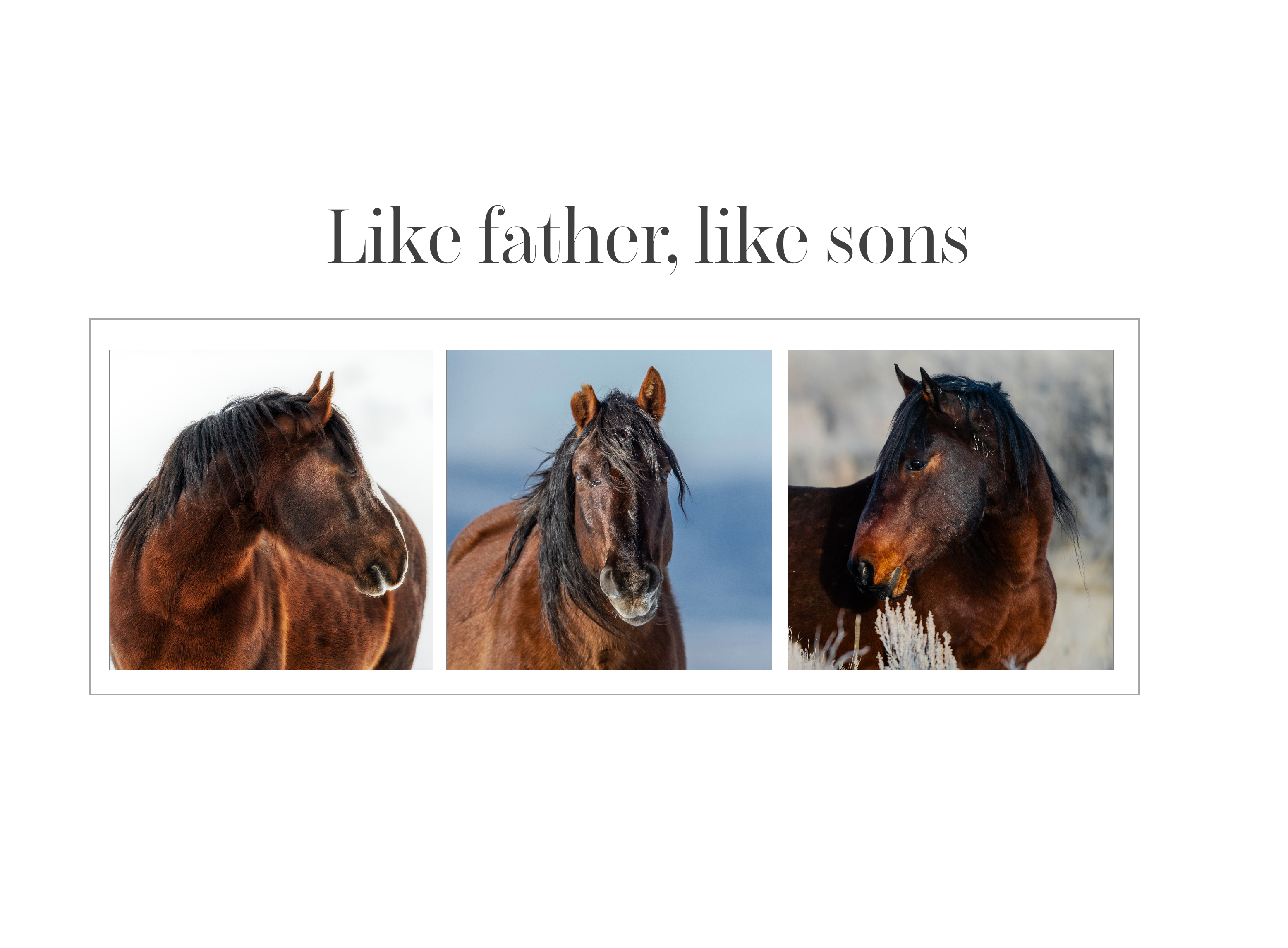 Like father, like sons