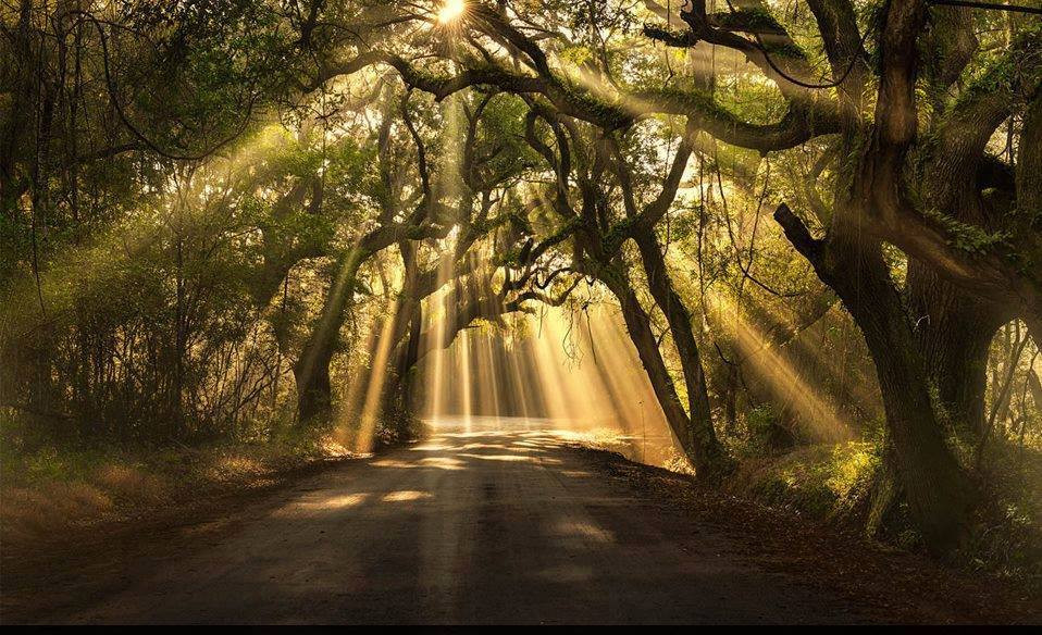 Hypnose & Vous Québec logo