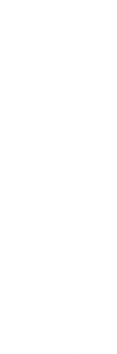 GuitareElectrique.png