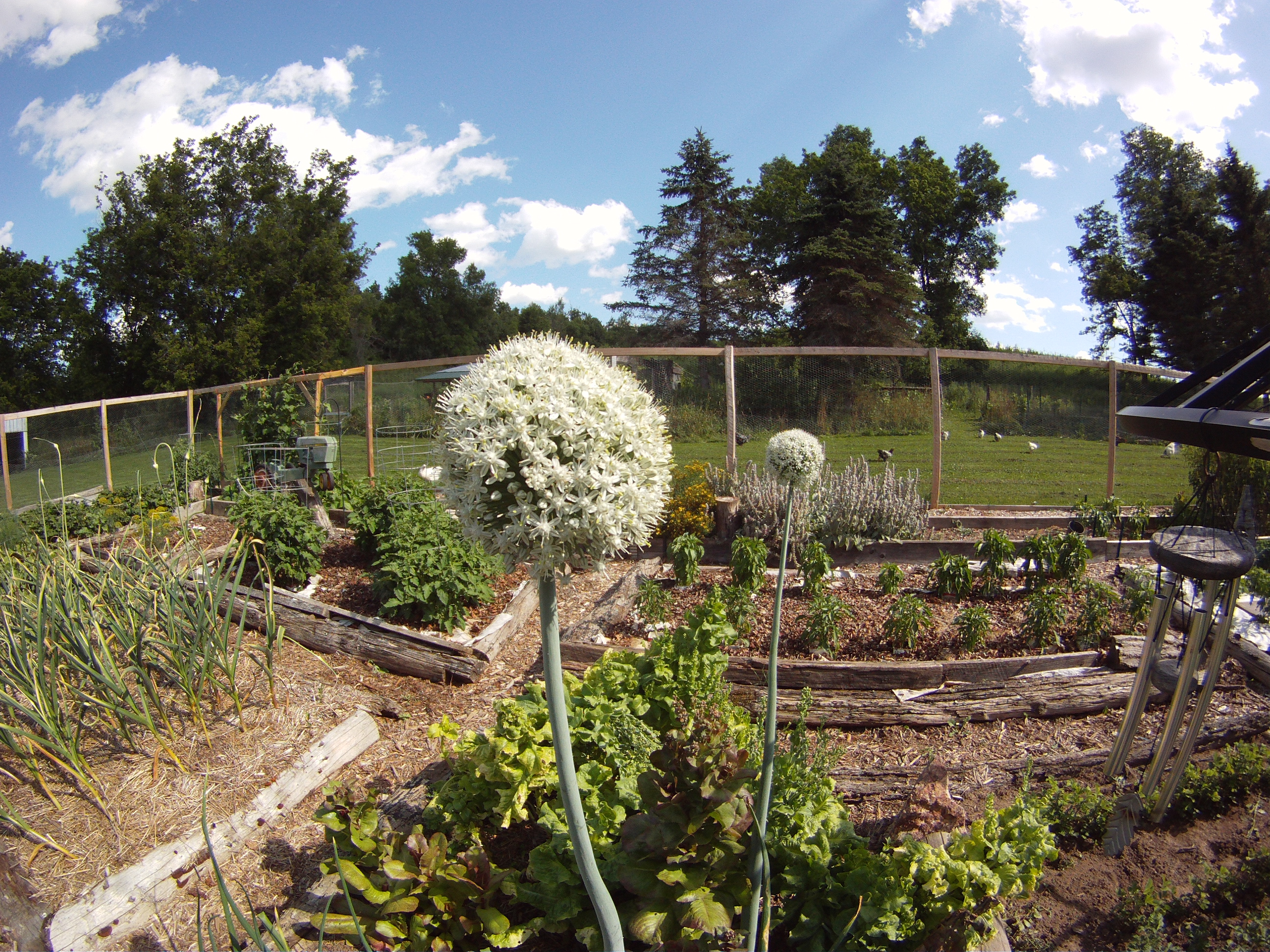 Spring garden