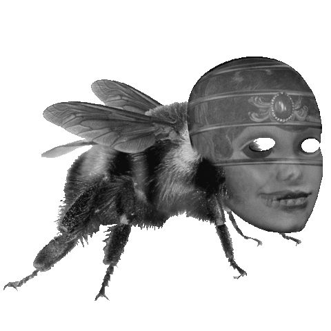 giphy.gif