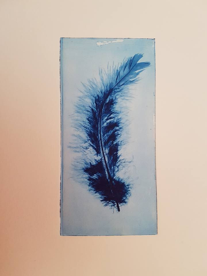 Feather