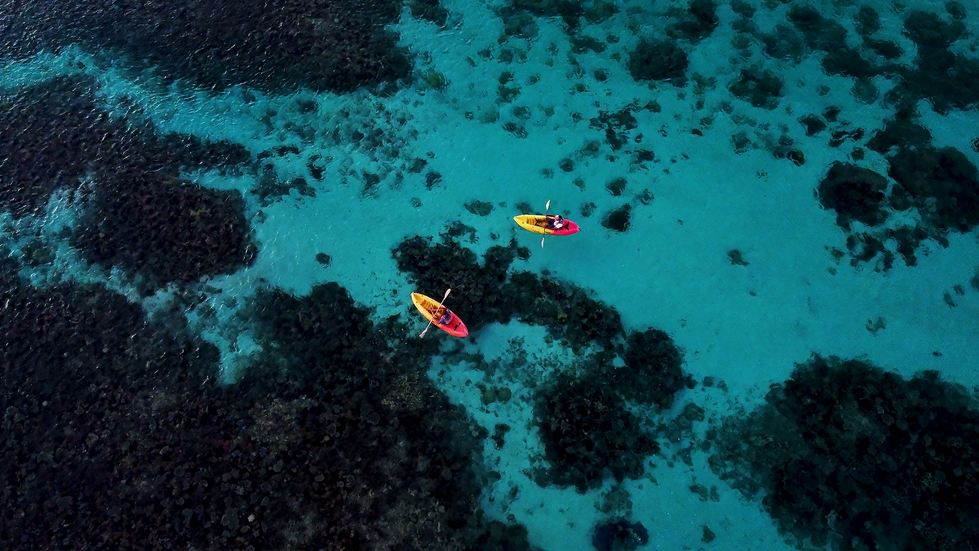 Kayak Top Down Clear Water 2