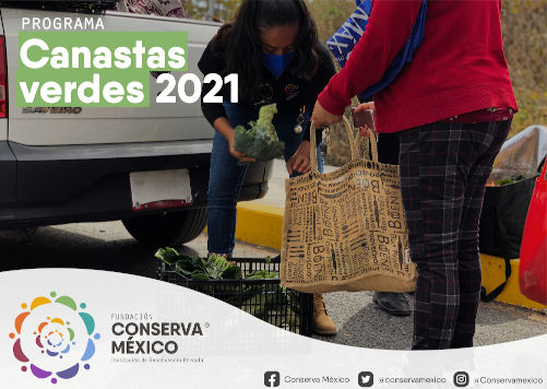 “Canastas verdes”, buenas prácticas comerciales acompañadas por Fundación Conserva México