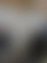 ✨FISMA TOKYO セミナー大盛況!✨