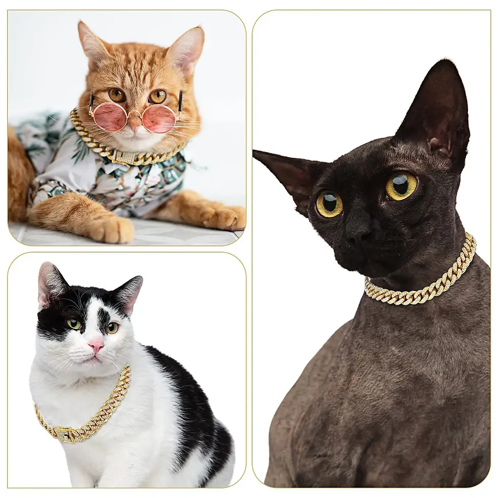 Thumbnail: Dog Chain Diamond Cuban Collar Walking Metal Chain Collar with Design Secure Buc