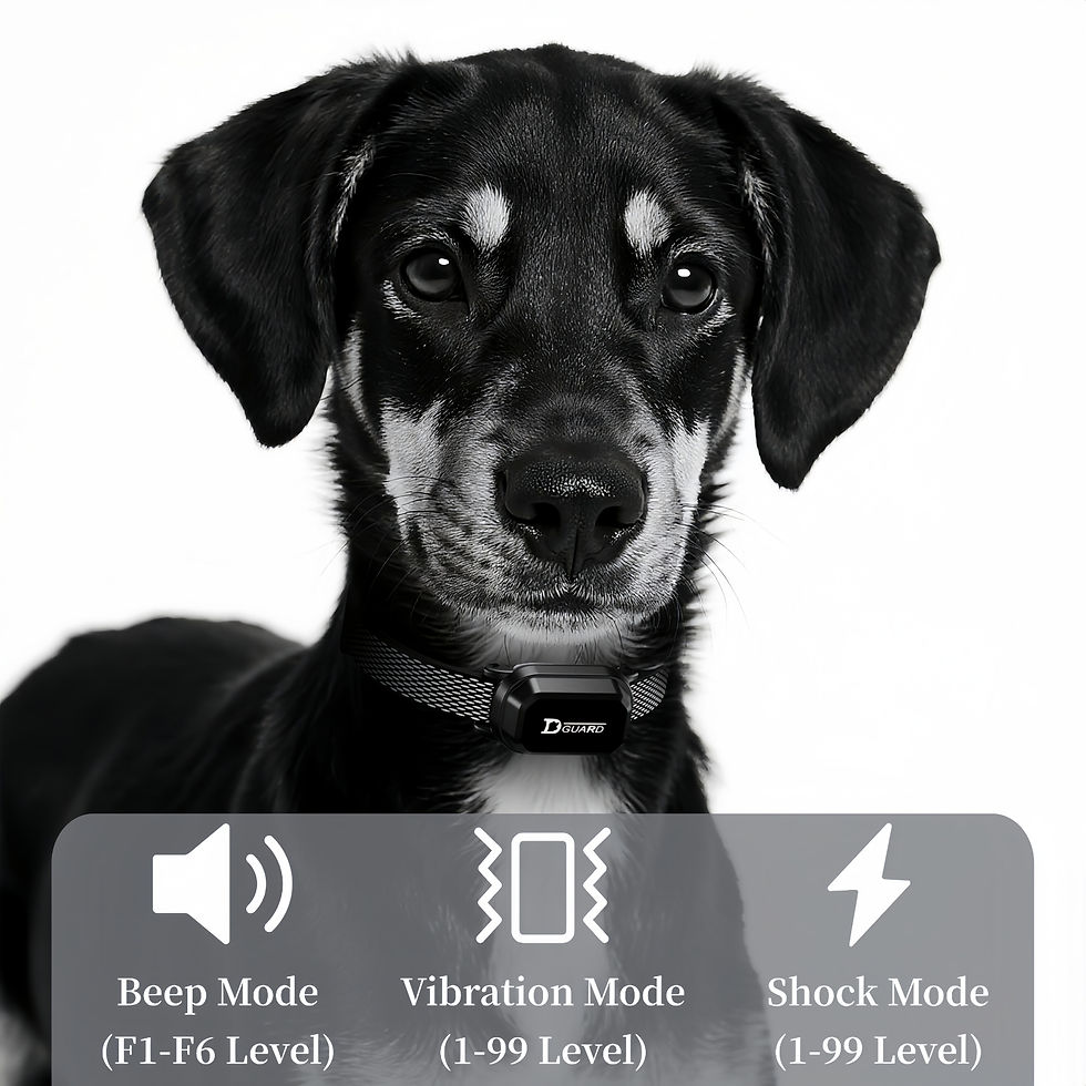 Thumbnail: 3300FT Electric Dog Training Collar Remote Control Waterproof Pet BehaviorFor 6-