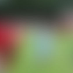 2023/24 Squad overview