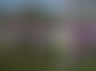 Mavididi earns City a point with March goal of the month contender