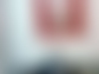 Steven Robinson Memorial Shield