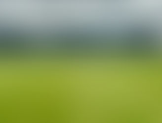 Club update - August