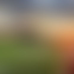 Harborough Town 3 -1 City