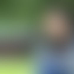 View from the dugout