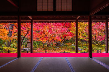 AdobeStock_277453471.jpeg