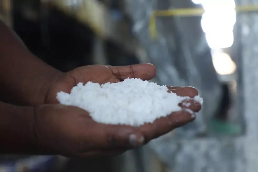 Protecting successes in salt iodization