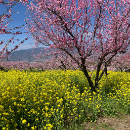 5月スケジュール