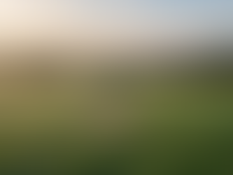 Starting a Drone Business with GVC to RPC01 Swap Requirements Authorisation and Growth Path