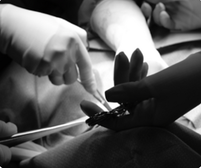 Screen Shot 2022-02-07 at 1.46.24 PM.png