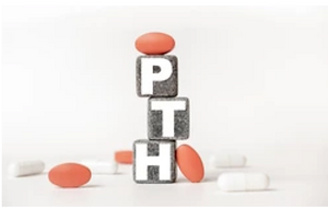 Screen Shot 2022-02-07 at 3.51.45 PM.png