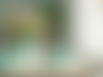 Experience Expert Residential Cleaning in Northern Mindanao