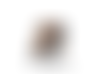 Finalists for the 2026 PLAA Awards Announced