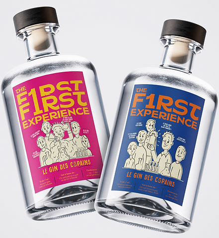 Photo des deux bouteilles de gin - Packaging réalisé par Coralie BENOIT graphiste et illustratrice freelance à Lyon