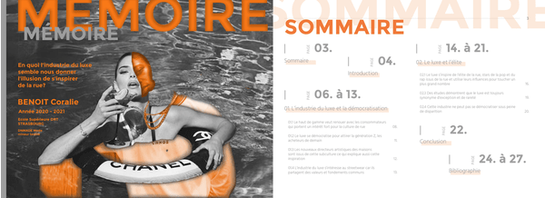 Vidéo faisant défiler les pages du document